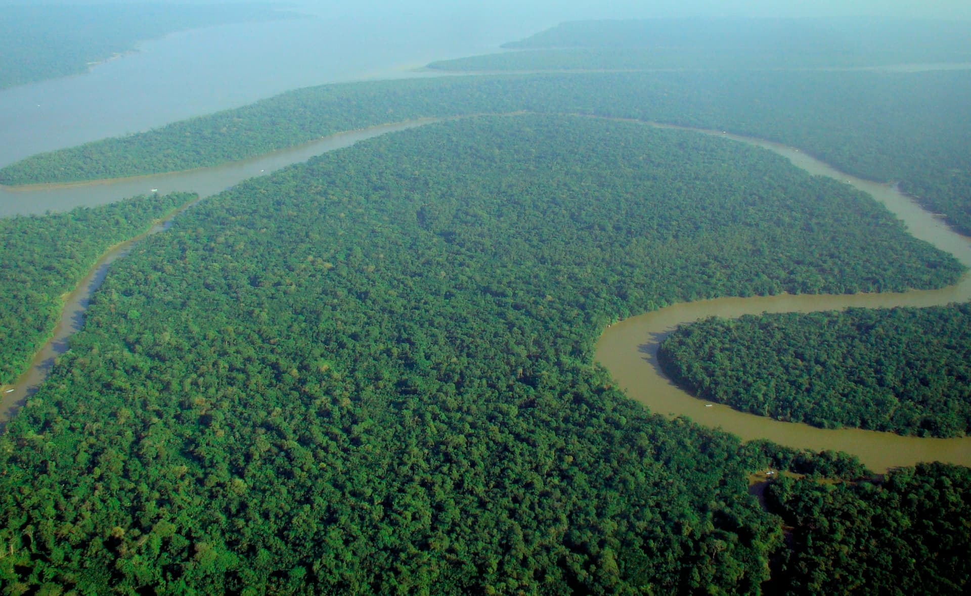 Vista aérea da floresta Amazônica — Rio Solimões, Amazônia, Brasil